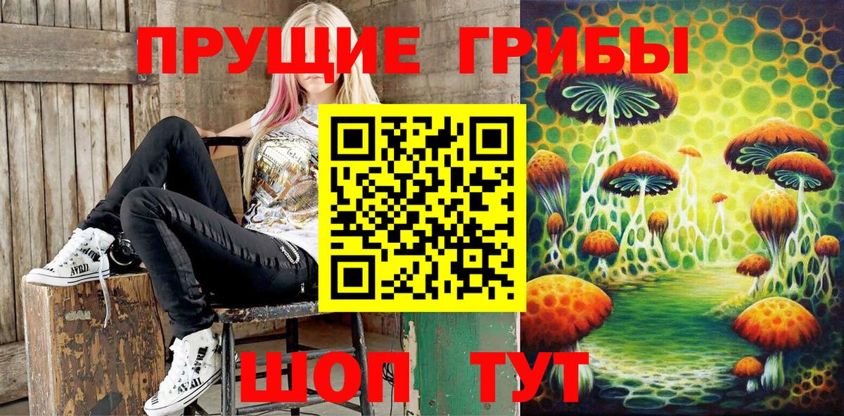 Псилоцибиновые грибы мухоморы  Псилоцибиновые грибы мицелий  Подольск  Вход с VPN 